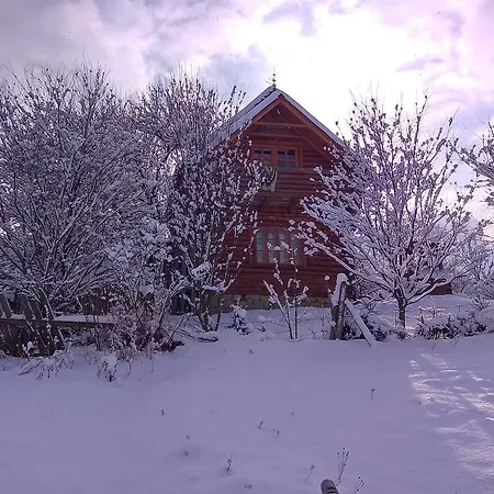 펜션 U Odesyta 보로크타