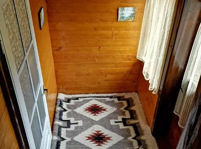 U Odesyta Vorokhta